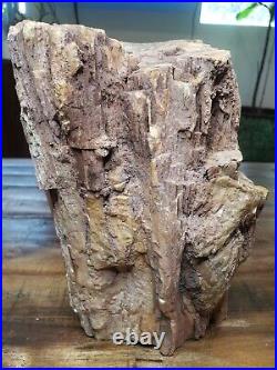 Arizona Petrified wood log. 13.4 Pounds