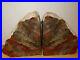 Arizona_RED_Petrified_Wood_Bookends_Rock_and_Minerals_Fossils_Specimen_12LBS_01_yl