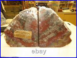Arizona RED Petrified Wood Bookends Rock and Minerals Fossils Specimen 12LBS