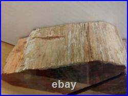 Arizona RED Petrified Wood Bookends Rock and Minerals Fossils Specimen 12LBS