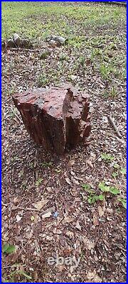 Arizona Rainbow Petrified Wood Log 56 lbs Raw Unpolished