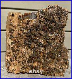 Arizona Rainbow Petrified Wood Natural Fossil Raw Rare Solid Display Slab 8 Lbs
