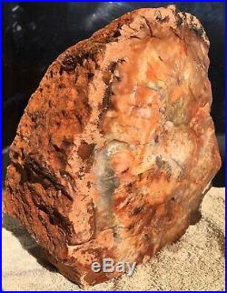 Arizona Rainbow Petrified Wood Natural Fossil Rough Center Lapidary Slab 19 Lbs
