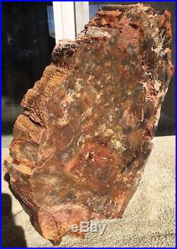 Arizona Rainbow Petrified Wood Natural Fossil Rough Solid Lapidary Slab 19 Lbs