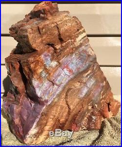 Arizona Rainbow Petrified Wood Natural Fossil Rough Solid Lapidary Slab 21.5 Lbs