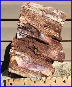 Arizona Rainbow Petrified Wood Natural Fossil Rough Solid Lapidary Slab 21.5 Lbs