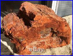 Arizona Rainbow Petrified Wood Natural Fossil Rough Solid Lapidary Slab 34 Lbs