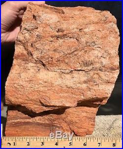 Arizona Rainbow Petrified Wood Natural Fossil Rough Solid Lapidary Slab 34 Lbs