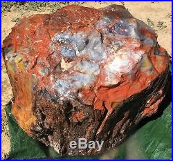 Arizona Rainbow Petrified Wood Natural Rough Round Large Fossil Slab- 112 Lbs