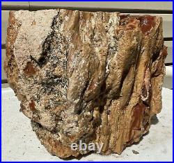 Arizona Rainbow Petrified Wood Natural Slab Rough Raw Solid Fossil 11 Lbs