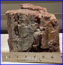 Arizona Rainbow Petrified Wood Natural Slab Rough Raw Solid Fossil 8 Lbs