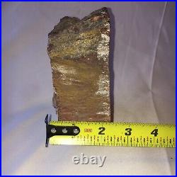 Arizona Rainbow Petrified Wood Stone Bookends Polished Felted Rough Back 5.5 T