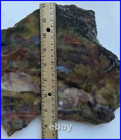 Arizona Rainbow Petrified wood Slab