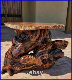 Arizona rainbow petrified wood table with mesquite wood burl base