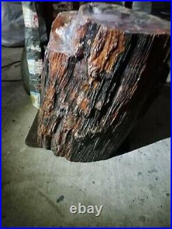 Arizonas Best Petrified Wood. Approximately 40 lbs. Est 22 inch tall, 10 in wide