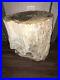 Awesome_Petrified_Wood_Stool_Stump_Accent_Side_Table_Pedestal_Rare_Amazing_Color_01_eeu