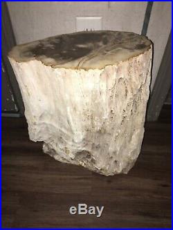 Awesome Petrified Wood Stool Stump Accent Side Table Pedestal Rare Amazing Color