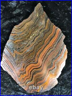Banded Iron Formation Stromatolite Cyanobacteria Tiger Iron W. Australia 10.5