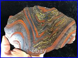 Banded Iron Formation Stromatolite Cyanobacteria Tiger Iron W. Australia 8.5x6