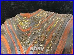 Banded Iron Formation Stromatolite Cyanobacteria Tiger Iron W. Australia 8.5x6