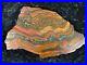 Banded_Iron_Formation_Stromatolite_Cyanobacteria_Tiger_Iron_Western_Australia10_01_vc
