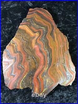 Banded Iron Formation Stromatolite Cyanobacteria Tiger Iron Western Australia10