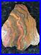 Banded_Iron_Formation_Stromatolite_Cyanobacteria_Tiger_Iron_Western_Australia10_01_zxm