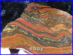 Banded Iron Formation Stromatolite Cyanobacteria Tiger Iron Western Australia10