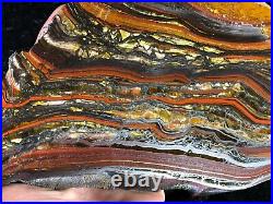 Banded Iron Formation Stromatolite Cyanobacteria Tiger Iron Western Australia11