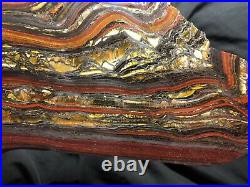 Banded Iron Formation Stromatolite Cyanobacteria Tiger Iron Western Australia12