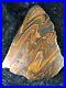Banded_Iron_Formation_Stromatolite_Cyanobacteria_Tiger_Iron_Western_Australia13_01_fd