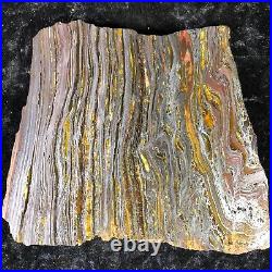 Banded Iron Formation Stromatolite Cyanobacteria Tiger Iron Western Australia 6