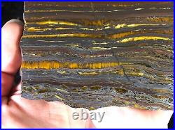 Banded Iron Formation Stromatolite Cyanobacteria Tiger Iron Western Australia 6