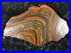 Banded_Iron_Formation_Stromatolite_Cyanobacteria_Tiger_Iron_Western_Australia_7_01_vpo