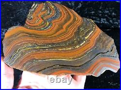Banded Iron Formation Stromatolite Cyanobacteria Tiger Iron Western Australia 7