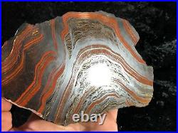 Banded Iron Formation Stromatolite Cyanobacteria Tiger Iron Western Australia 7