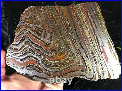 Banded Iron Formation Stromatolite Cyanobacteria Tiger Iron Western Australia 8