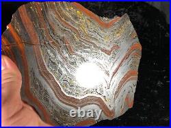 Banded Iron Formation Stromatolite Cyanobacteria Tiger Iron Western Australia 8