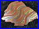 Banded_Iron_Formation_Stromatolite_Cyanobacteria_Tiger_Iron_Western_Australia_9_01_iylj