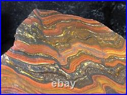 Banded Iron Formation Stromatolite Cyanobacteria Tiger Iron Western Australia 9