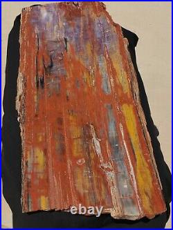 Beautiful40 Inch Fossil Petrified Wood Rainbow Plank Cut Table Arizona