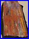 Beautiful40_Inch_Fossil_Petrified_Wood_Rainbow_Plank_Cut_Table_Arizona_01_mwr