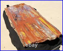 Beautiful40 Inch Fossil Petrified Wood Rainbow Plank Cut Table Arizona