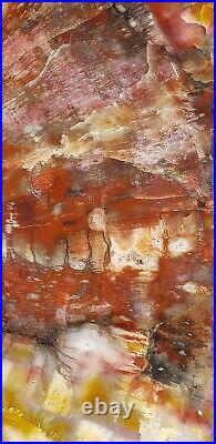 Beautiful 14.5 Inch Fossil Petrified Wood Red Rainbow Round Arizona