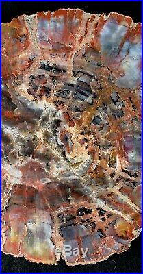 Beautiful 14 Inch Fossil Petrified Wood Red Rainbow Round Arizona