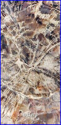 Beautiful 16 Inch Fossil Petrified Wood Red Rainbow Round Arizona