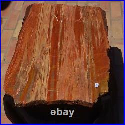 Beautiful 24 Inch Fossil Petrified Wood Rainbow Plank Cut Table Arizona