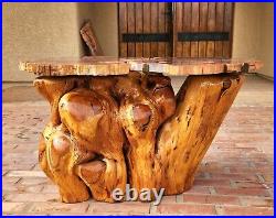 Beautiful 33 inch Arizona rainbow petrified wood crescent table wood base