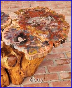 Beautiful 33 inch Arizona rainbow petrified wood crescent table wood base