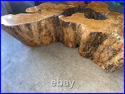 Beautiful 36X 20X8 Petrified Wood Table Top Stone Slab Polished Shine